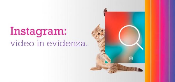 instagram-video-suggested